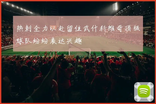 热刺全力以赴留住武什科维奇顶级球队纷纷表达兴趣